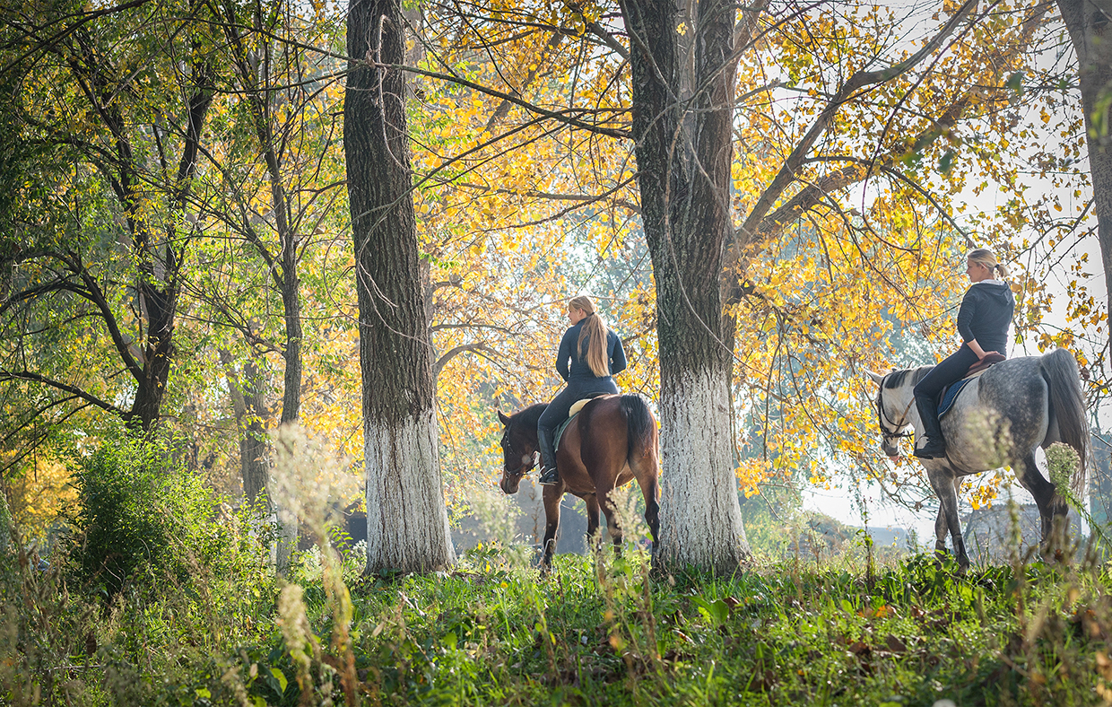 Girls riding a horse